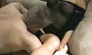 Muški penis se film porn 2018 topi od užitka u guzici crvene kobile